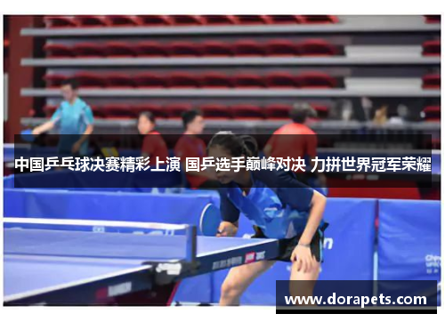 中国乒乓球决赛精彩上演 国乒选手巅峰对决 力拼世界冠军荣耀