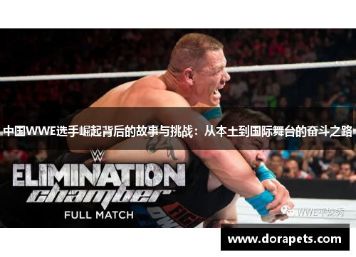 中国WWE选手崛起背后的故事与挑战：从本土到国际舞台的奋斗之路
