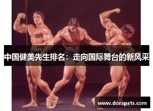 中国健美先生排名：走向国际舞台的新风采