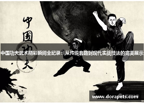 中国功夫武术精彩瞬间全纪录：从传统套路到现代实战技法的完美展示
