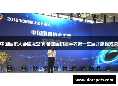 中国围棋大会盛况空前 各路围棋高手齐聚一堂展开巅峰对决