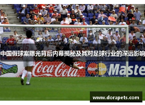 中国假球案曝光背后内幕揭秘及其对足球行业的深远影响
