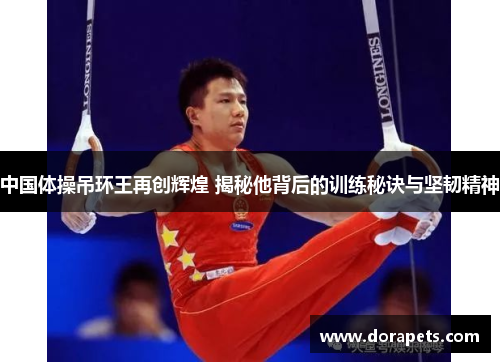 中国体操吊环王再创辉煌 揭秘他背后的训练秘诀与坚韧精神