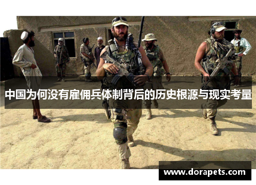 中国为何没有雇佣兵体制背后的历史根源与现实考量
