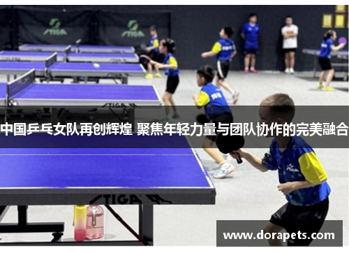 中国乒乓女队再创辉煌 聚焦年轻力量与团队协作的完美融合