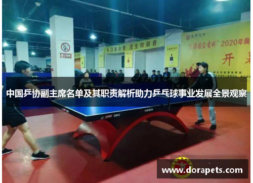 中国乒协副主席名单及其职责解析助力乒乓球事业发展全景观察