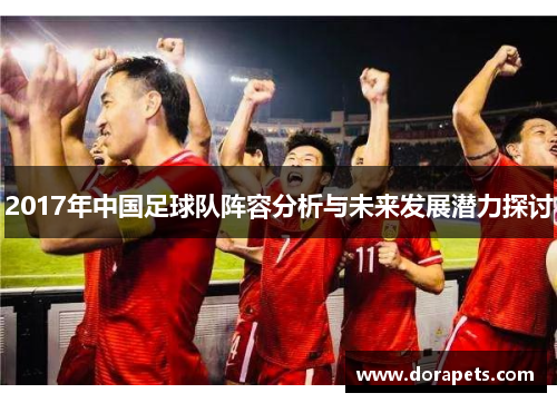 2017年中国足球队阵容分析与未来发展潜力探讨