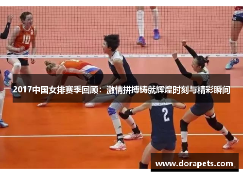 2017中国女排赛季回顾：激情拼搏铸就辉煌时刻与精彩瞬间