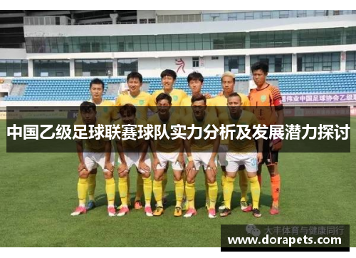 中国乙级足球联赛球队实力分析及发展潜力探讨