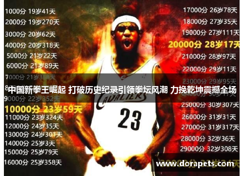 中国新拳王崛起 打破历史纪录引领拳坛风潮 力挽乾坤震撼全场