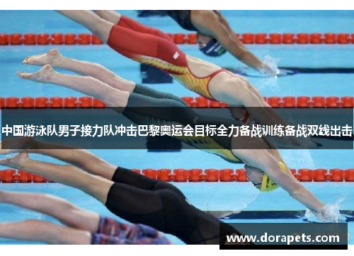 中国游泳队男子接力队冲击巴黎奥运会目标全力备战训练备战双线出击