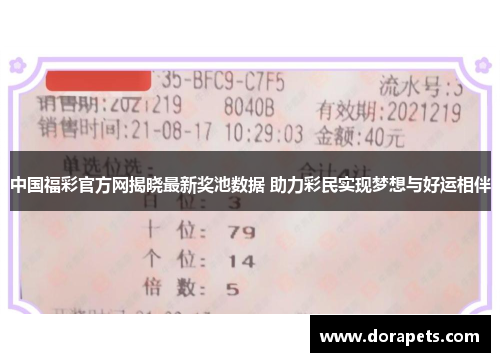 中国福彩官方网揭晓最新奖池数据 助力彩民实现梦想与好运相伴